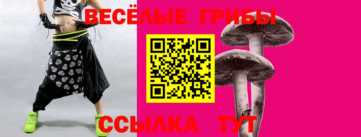 Псилоцибиновые грибы Psilocybine cubensis Железногорск